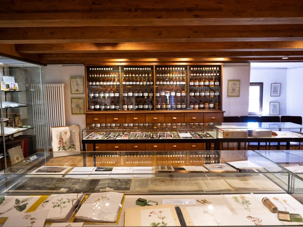 Ausstellung Apothekenmuseum