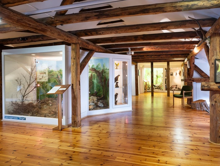 Stadtmuseum Hofgeismar