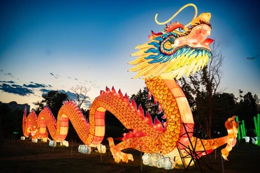 China Lights at Cologne Zoo A magnificent, glowing Chinese dragon winds its way into the evening sky at Cologne Zoo.