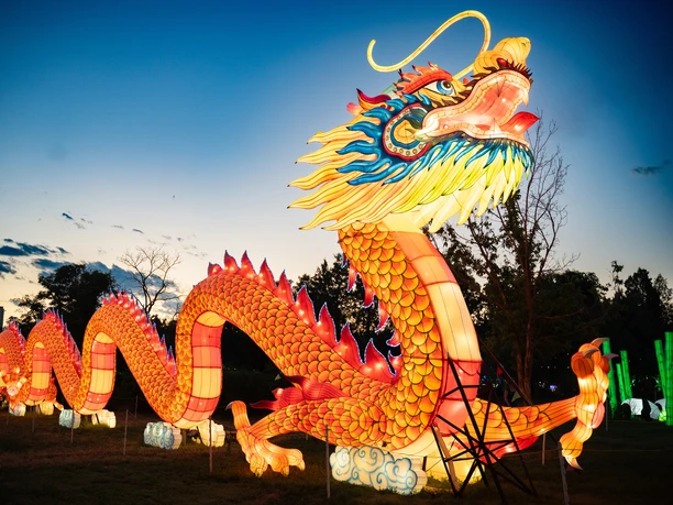 China Lights im Kölner Zoo Ein prächtiger, leuchtender chinesischer Drache windet sich in den Abendhimmel im Kölner Zoo.