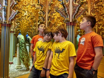 Spiegellabyrinth Alhambra Spiegellabyrinth AlhambraSpiegellabyrinth AlhambraSpiegellabyrinth Alhambra