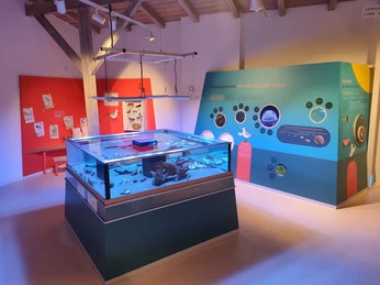 Nationalpark-Haus Juist neue Ausstellung 04.jpg Nationalpark-Haus Juist neue Ausstellung 04.jpg