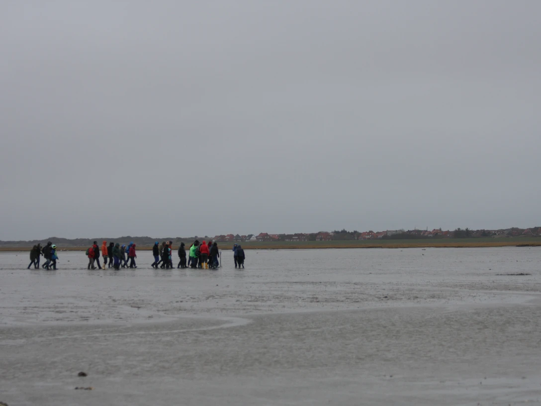 Veranstaltungsangebot November Dezember Juist Wattwanderung.jpg Veranstaltungsangebot November Dezember Juist Wattwanderung.jpg