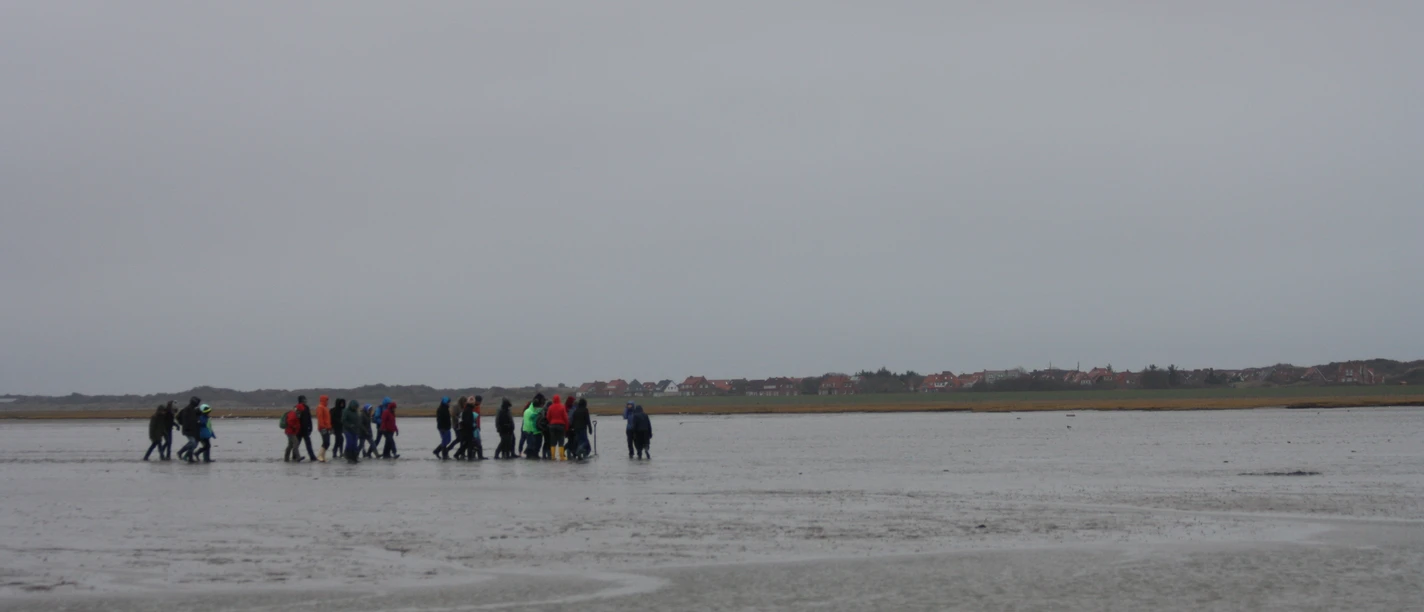 Veranstaltungsangebot November Dezember Juist Wattwanderung.jpg Arrangementsprogram november december Juist muddervandring.jpg