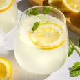 zitronenlimonade-022-576x384.jpg
