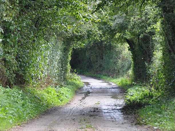 Solbækvej-Cykel-Sø-og-Fjord