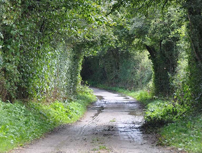 Solbækvej-Cykel-Sø-og-Fjord