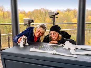 Neanderthaler Fundknochen auf dem Erlebnisturm Höhlenblick am Neanderthal Museum in Mettmann Auf einem Erlebnisturm betrachten zwei Personen lächelnd Knochenrepliken des Neanderthalers.