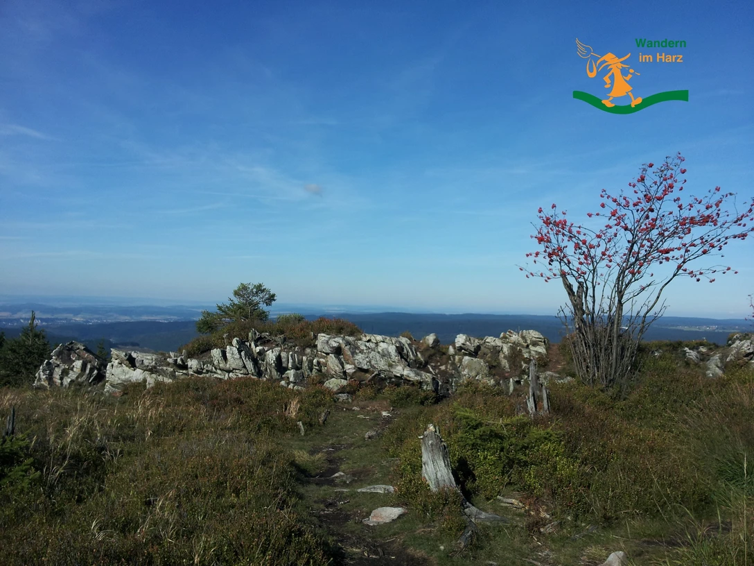Wandern im Harz - Harzer Baudensteig Wandern im Harz - Harzer Baudensteig