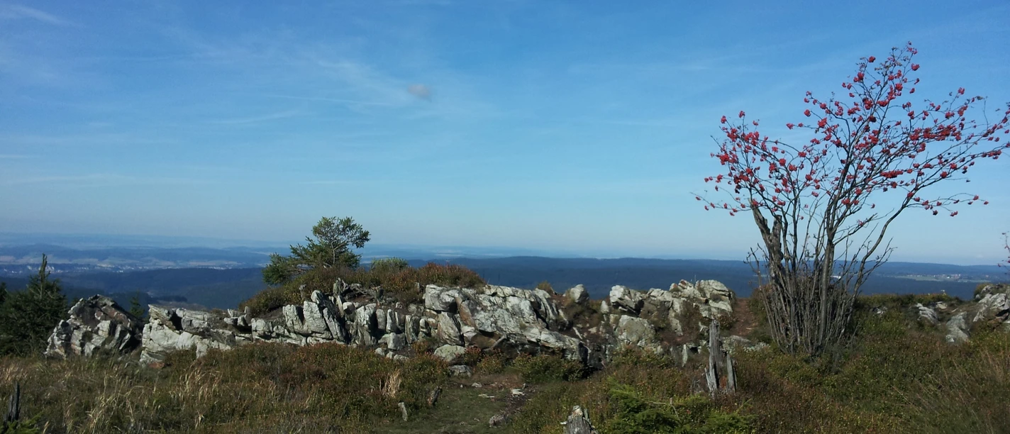Wandern im Harz - Harzer Baudensteig Wandern im Harz - Harzer Baudensteig