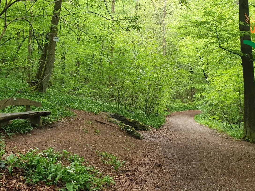 Wandern im Harz - Harzer Försterstieg Wandern im Harz - Harzer Försterstieg