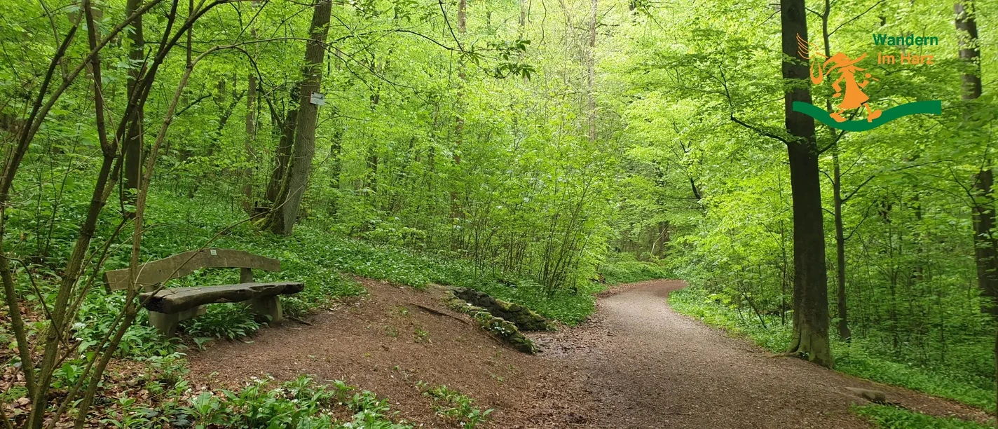 Wandern im Harz - Harzer Försterstieg Wandern im Harz - Harzer Försterstieg