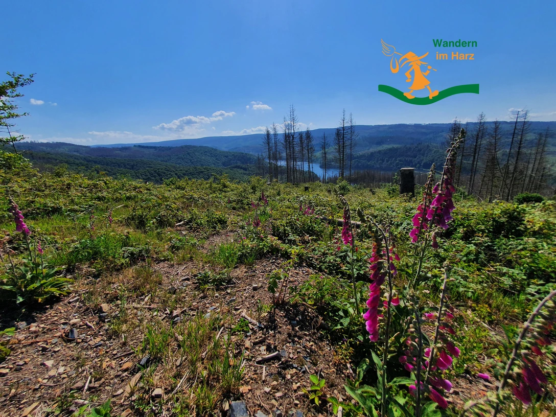 Wandern im Harz - Harzer-Hexen-Stieg mit Brockenüberquerung Wandern im Harz - Harzer-Hexen-Stieg mit Brockenüberquerung