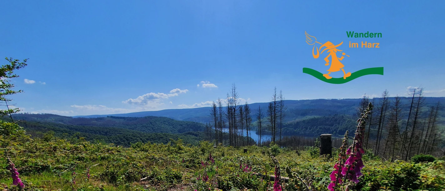 Wandern im Harz - Harzer-Hexen-Stieg mit Brockenüberquerung Wandern im Harz - Harzer-Hexen-Stieg mit Brockenüberquerung