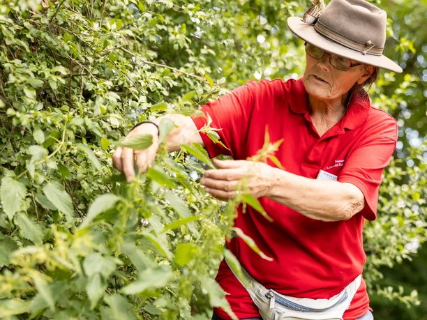 2022_07_03_Naturparkfest_Katharina_Jäger (97).jpg