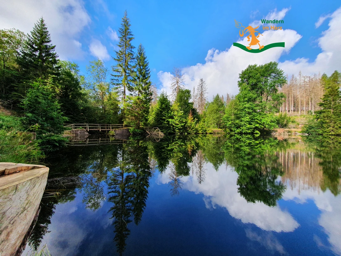 Wandern im Harz - Harzer-Hexen-Stieg - Brockenumgehung Wandern im Harz - Harzer-Hexen-Stieg - Brockenumgehung