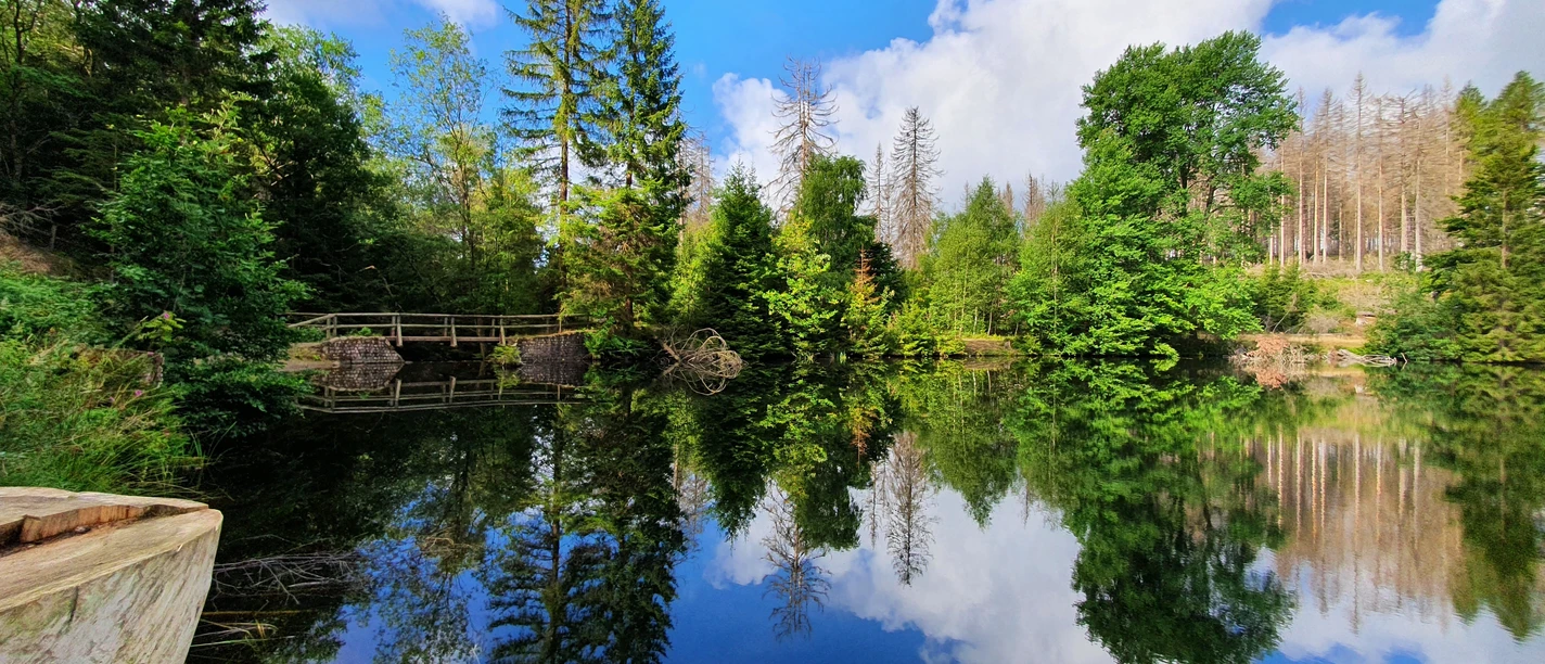 Wandern im Harz - Harzer-Hexen-Stieg - Brockenumgehung Wandern im Harz - Harzer-Hexen-Stieg - Brockenumgehung
