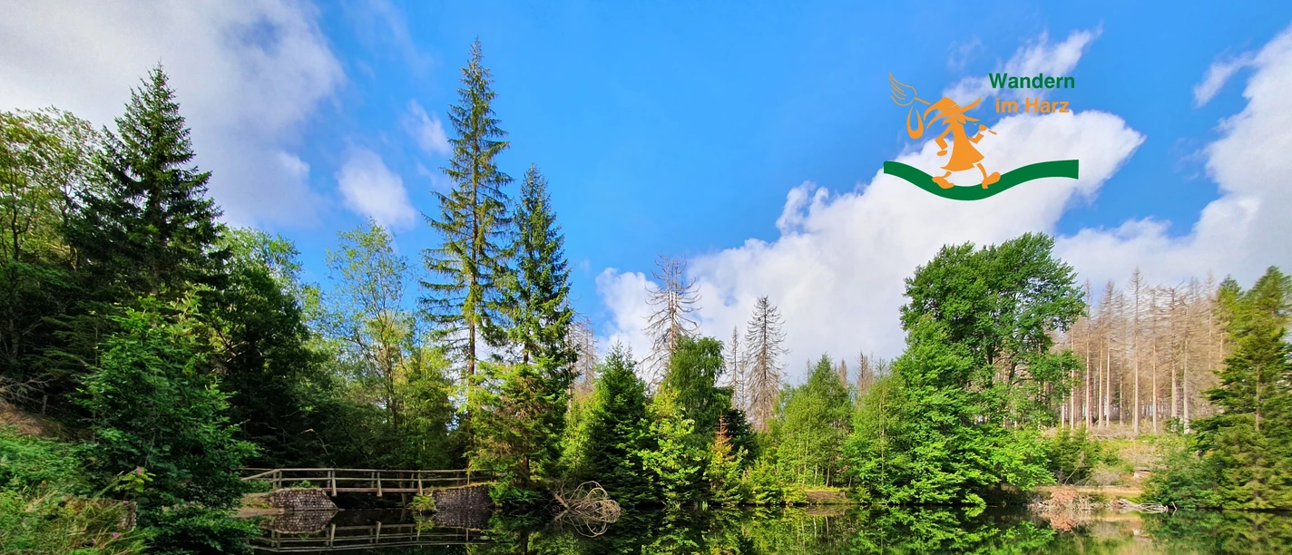 Wandern im Harz - Harzer-Hexen-Stieg - Brockenumgehung Wandern im Harz - Harzer-Hexen-Stieg - Brockenumgehung