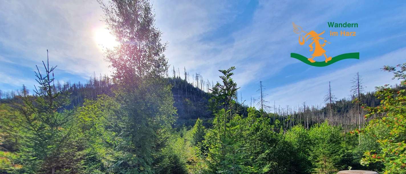 Wandern im Harz - Harzer-Hexen-Stieg - Kurzprogramme Wandern im Harz - Harzer-Hexen-Stieg - Kurzprogramme