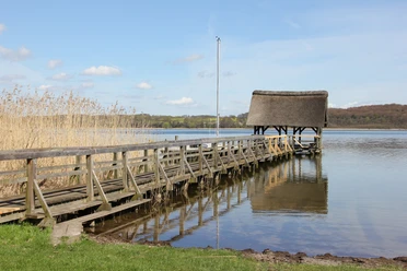 Buchholz_CarinaJahnke (2).JPG Steg am Ratzeburger See mit Schilf am Ufer und Anleger
