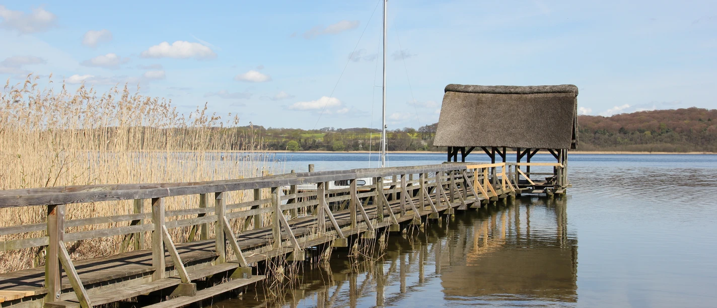Buchholz_CarinaJahnke (2).JPG Steg am Ratzeburger See mit Schilf am Ufer und Anleger