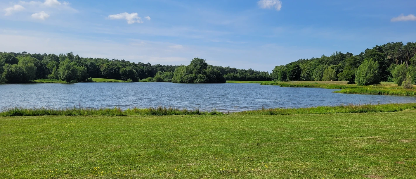 Kleihügelsee Ein kleiner See inmitten grüner Wiesen und Wälder, eingebettet in eine friedliche Naturkulisse.