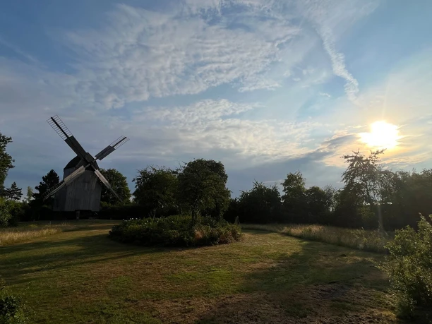 Eine historische Bockwindmühle steht auf einer weiten Wiese. Die Sonne neigt sich dem Horizont.