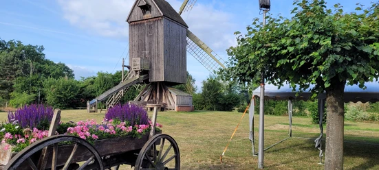 Historische Bockwindmühle in Wehe mit blühendem Blumenkarren und blauem Sommerhimmel im Hintergrund.