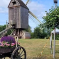 Historische Bockwindmühle in Wehe mit blühendem Blumenkarren und blauem Sommerhimmel im Hintergrund.