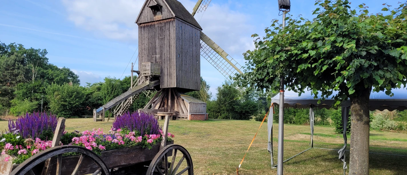 Historische Bockwindmühle in Wehe mit blühendem Blumenkarren und blauem Sommerhimmel im Hintergrund.