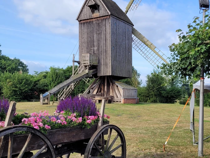 Historische Bockwindmühle in Wehe mit blühendem Blumenkarren und blauem Sommerhimmel im Hintergrund.