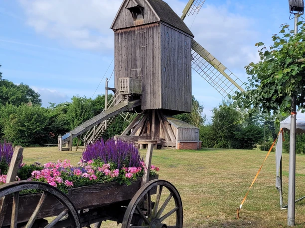 Bockwindmühle Wehe Historische Bockwindmühle in Wehe mit blühendem Blumenkarren und blauem Sommerhimmel im Hintergrund.