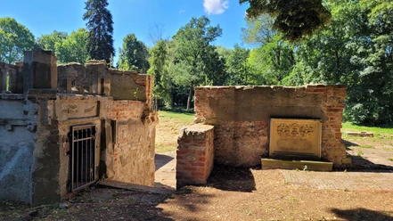 Ruinen einer alten Burganlage umgeben von dichten Bäumen, Überreste aus Stein und Backstein.