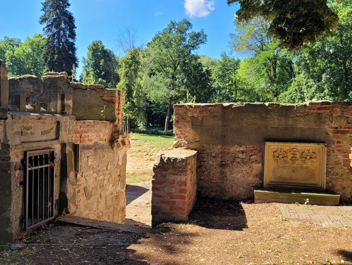 Ruinen einer alten Burganlage umgeben von dichten Bäumen, Überreste aus Stein und Backstein.