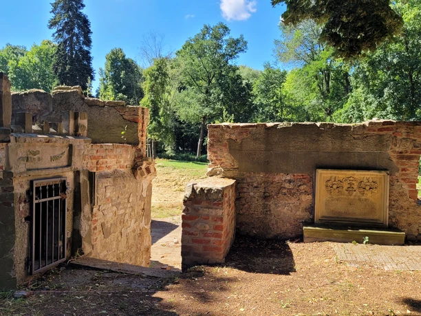 Ellerburg Ruinen einer alten Burganlage umgeben von dichten Bäumen, Überreste aus Stein und Backstein.