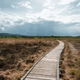 Holzsteg schlängelt sich durch ein weitläufiges, lichtdurchflutetes Moorgebiet unter bewölktem Himmel.