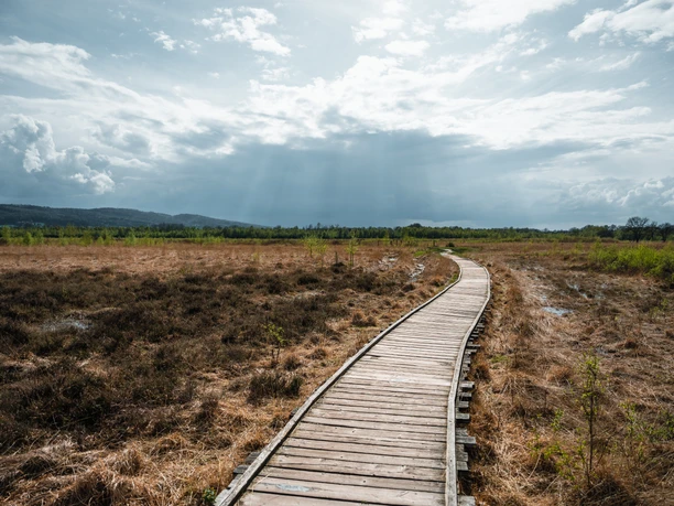 Großes Torfmoor Holzsteg schlängelt sich durch ein weitläufiges, lichtdurchflutetes Moorgebiet unter bewölktem Himmel.