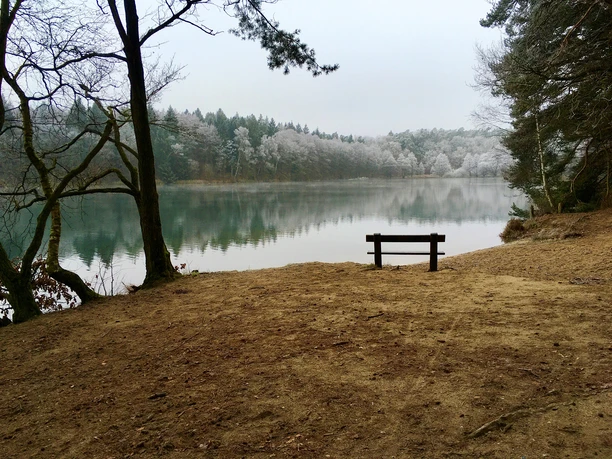 Winter am Krebssee im Hellbachtal Eine Bank steht am Ufer eines Sees. Die Bäume am anderen Ufer sind mit Reif bedeckt.