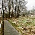 Wanderweg im Hellbachtal Ein Holzsteg führt durch eine Wiese im Hellbachtal. Das Gras und die Bäume sind mit Reif bedeckt.