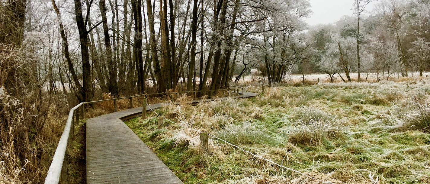 Wanderweg im Hellbachtal Ein Holzsteg führt durch eine Wiese im Hellbachtal. Das Gras und die Bäume sind mit Reif bedeckt.