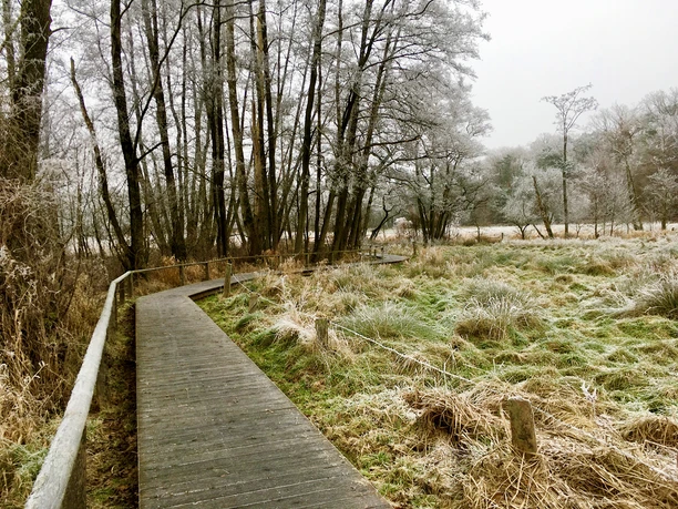 Wanderweg im Hellbachtal Ein Holzsteg führt durch eine Wiese im Hellbachtal. Das Gras und die Bäume sind mit Reif bedeckt.