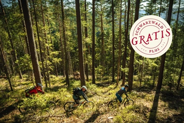 Grenzgänger