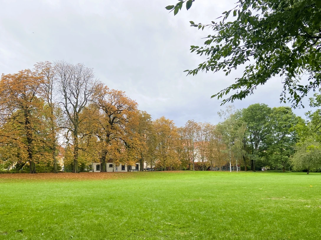 Stötteritzer Wäldchen - Familienurlaub in Leipzig Große Wiese von alten Bäumen in bunten Herbstfarben gesäumt am Eingang des Stötteritzer Wäldchens.Large meadow lined with old trees in bright autumn colors at the entrance to the Stötteritzer Wäldchen.Velká louka lemovaná starými stromy v jasných podzimních barvách u vstupu do lesa Stötteritz.Duża łąka porośnięta starymi drzewami w jasnych jesiennych kolorach przy wejściu do lasu Stötteritz.Grote weide omzoomd met oude bomen in heldere herfstkleuren bij de ingang van het Stötteritz bos.Ampio prato fiancheggiato da vecchi alberi dai vivaci colori autunnali all'ingresso della foresta di Stötteritz.