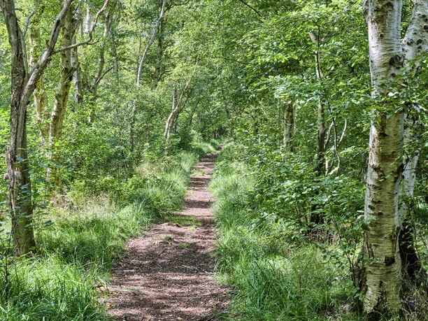 Gellener_Torfmöörte_Florian Trykowski