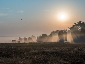 Wandern im Radenbachtal Morgennebel und Sonnenaufgang im RadenbachtalMorning mist and sunrise in the Radenbach valleyMorgentåge og solopgang i Radenbach-dalenOchtendmist en zonsopgang in de Radenbachvallei