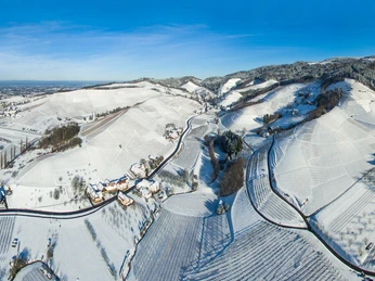 Winterbild Oberkirch