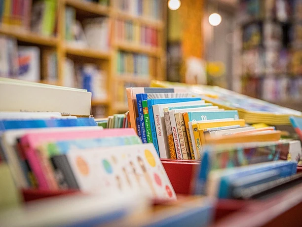In hintereinander stehenden Kisten stehen verschiedene Bücher.