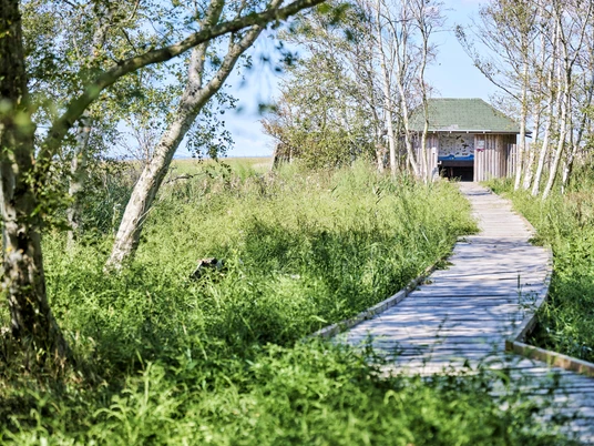 SchwimmendesMoor_FlorianTrykowski