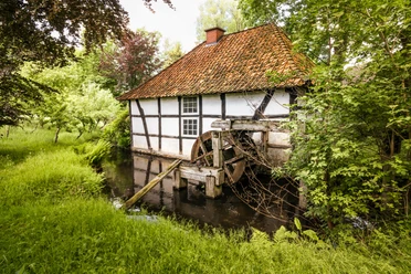 Ölmühle in Bippen