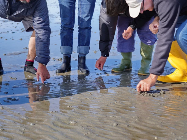 Faszination Wattenmeer KatSchulz DSC3876.JPG